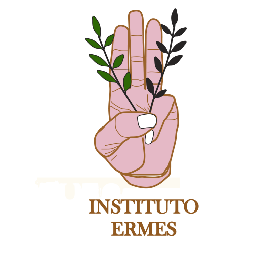 Instituto Ermes
